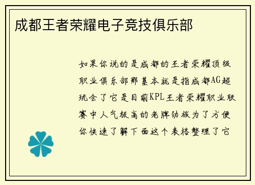 成都王者荣耀电子竞技俱乐部